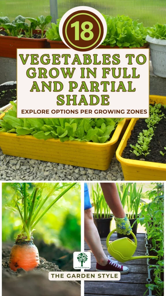 18 vegetables to grow in full and partial shade