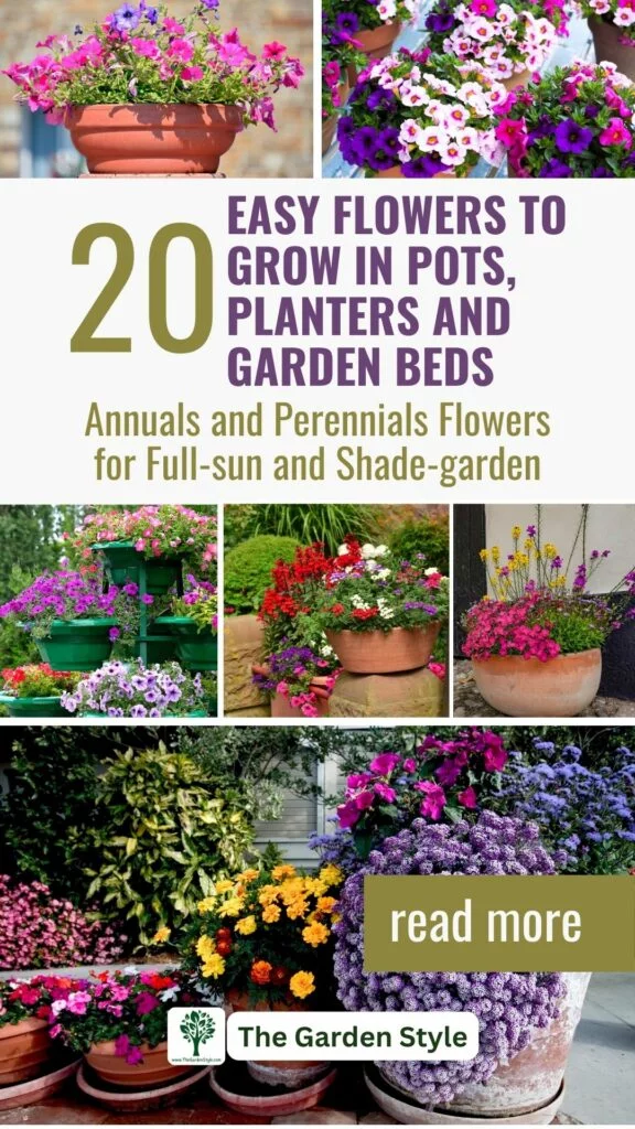 annuals and perennials flowers for full-sun and shade-garden