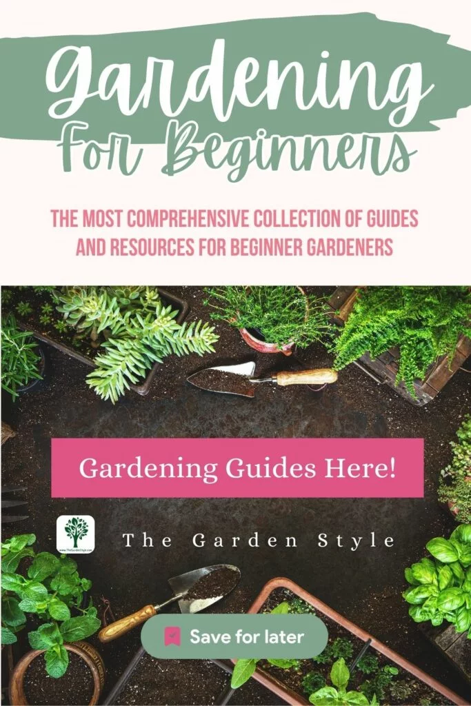 guides and resources for beginner gardeners