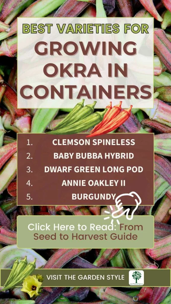 best varieties for growing okra in containers