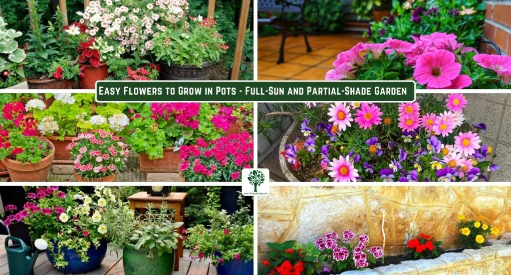 how to arrange flowers for a perfect flower pot design