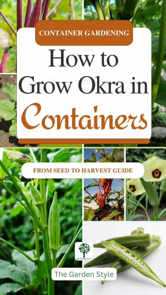 how to grow okra in pots and containers guide
