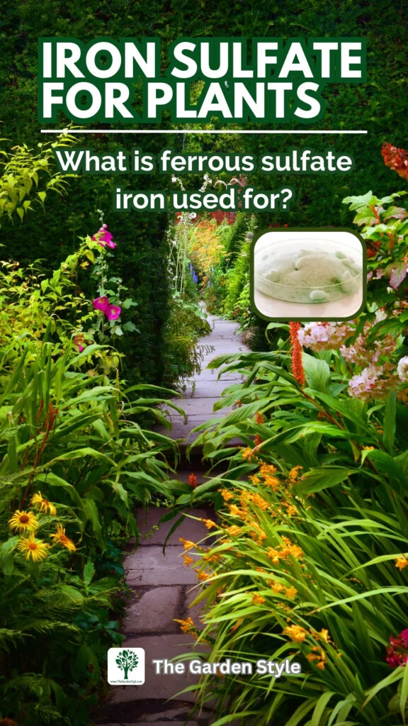 how to use iron sulfate on the garden