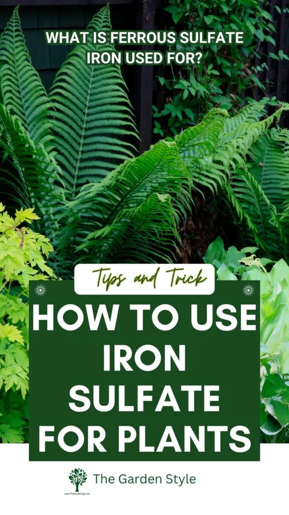 iron sulfate use for plants