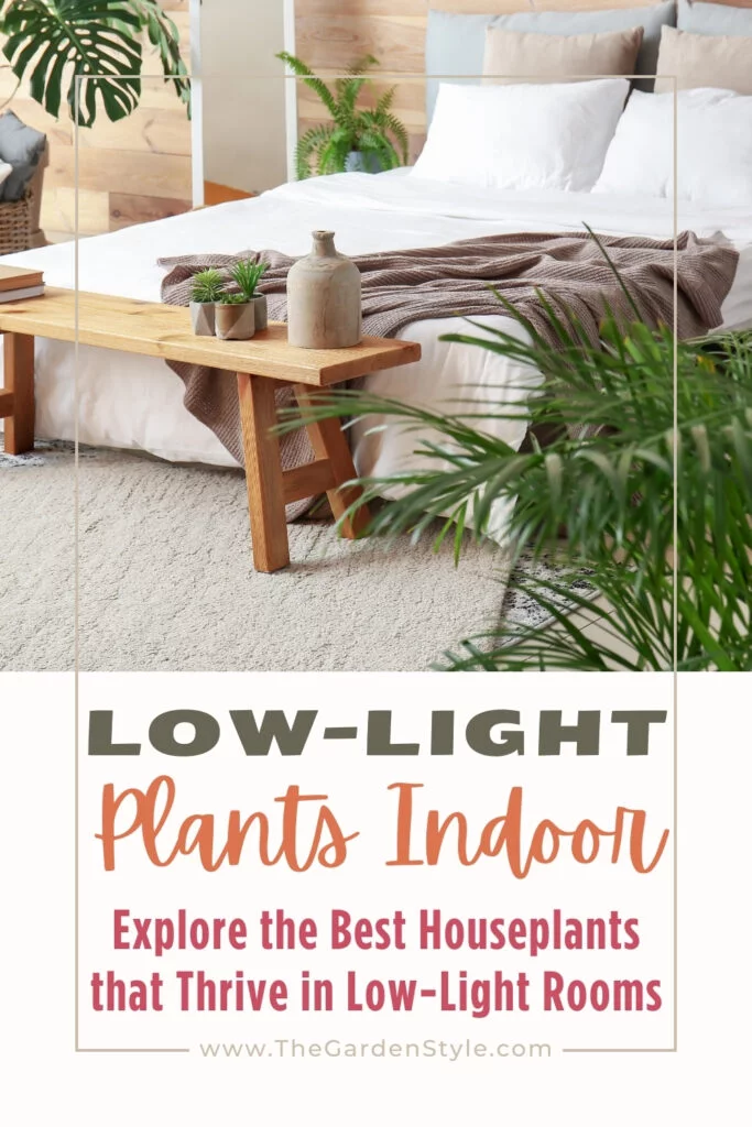 low light plants indoor houseplants