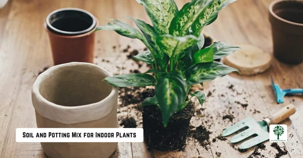 soil and potting mix for indoor plants