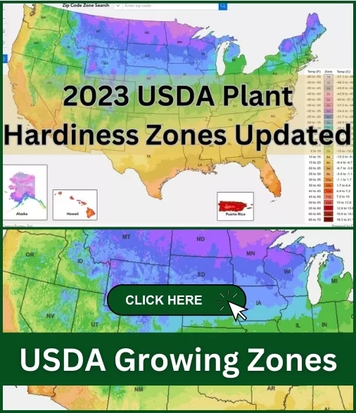 usda plant hardiness zones updated