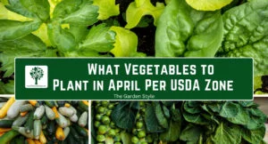 what vegetables to plant in april per usda zone
