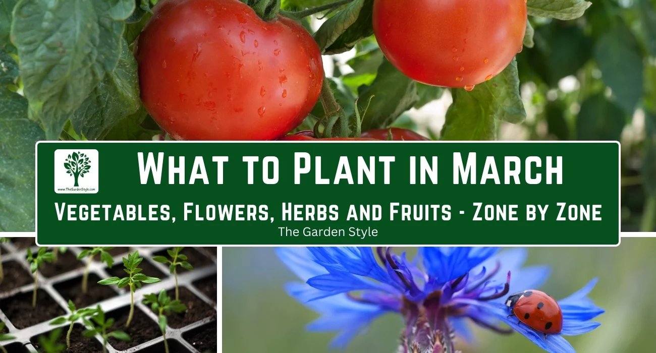 what to plant in march