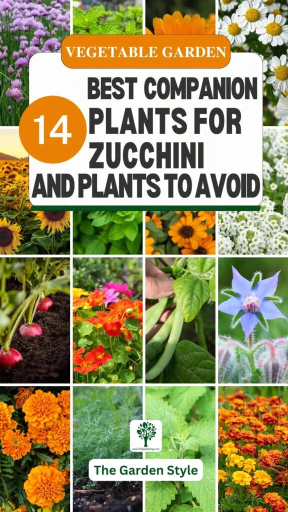 14 best companion plants for zucchini and plants to avoid