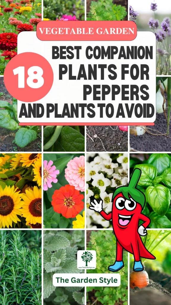 18 companion plants for peppers