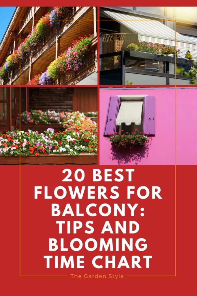 20 best flowers for balcony tips and blooming