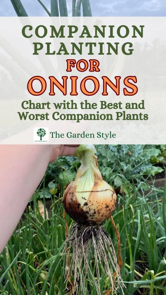 companion planting for onions