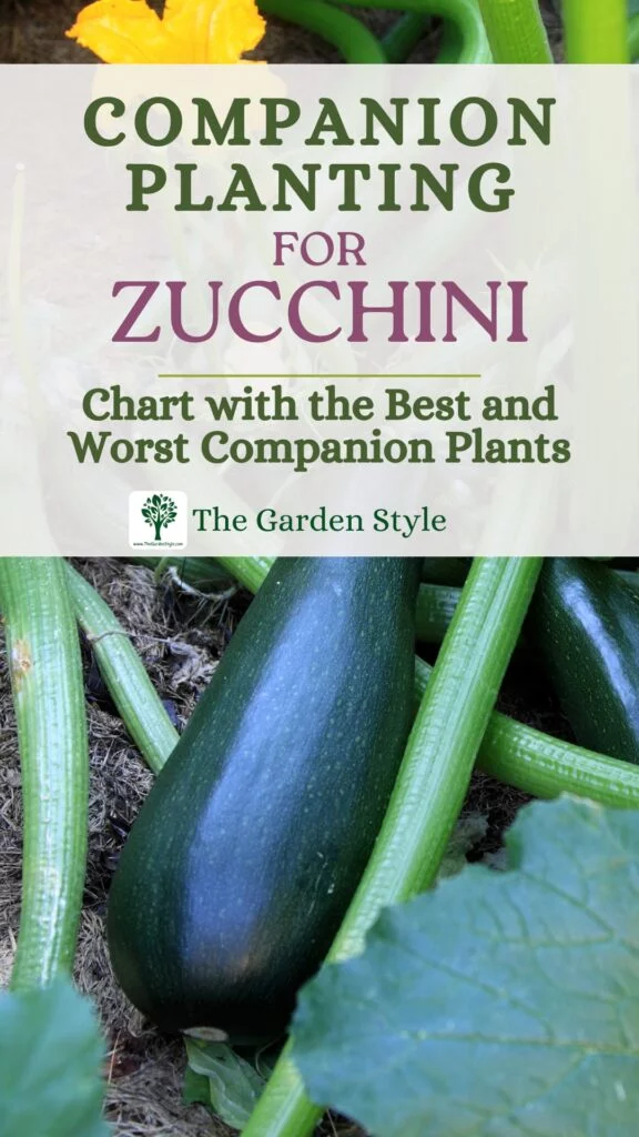companion planting for zucchini chart