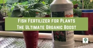 fish fertilizer for plants the ultimate organic boost
