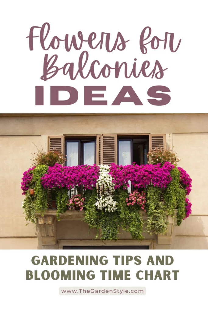flowers for balconies ideas