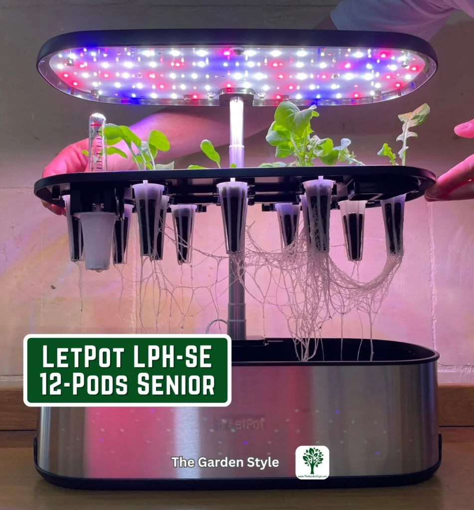 LetPot germination rate hydroponic 