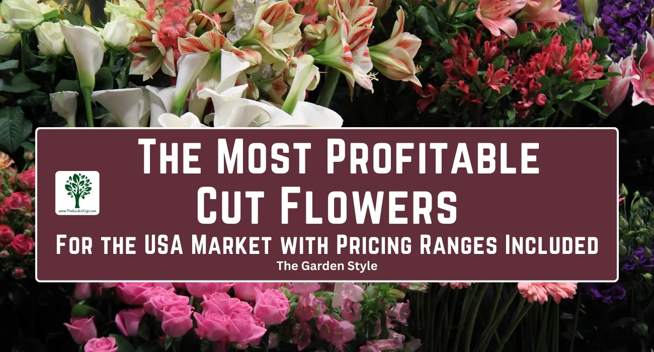 the most profitable cut flowers with prices for 2024