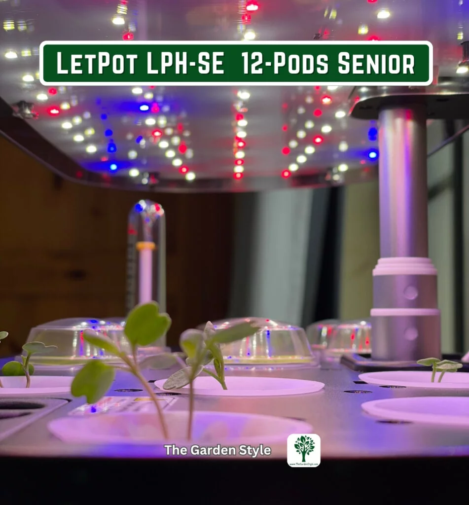 seedling growing LetPot LPH-SE