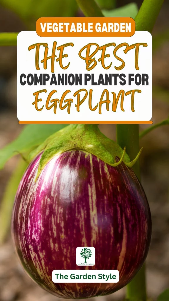 the best companion plants for eggplant
