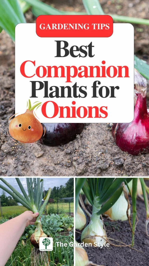 the best companion plants for onions tips