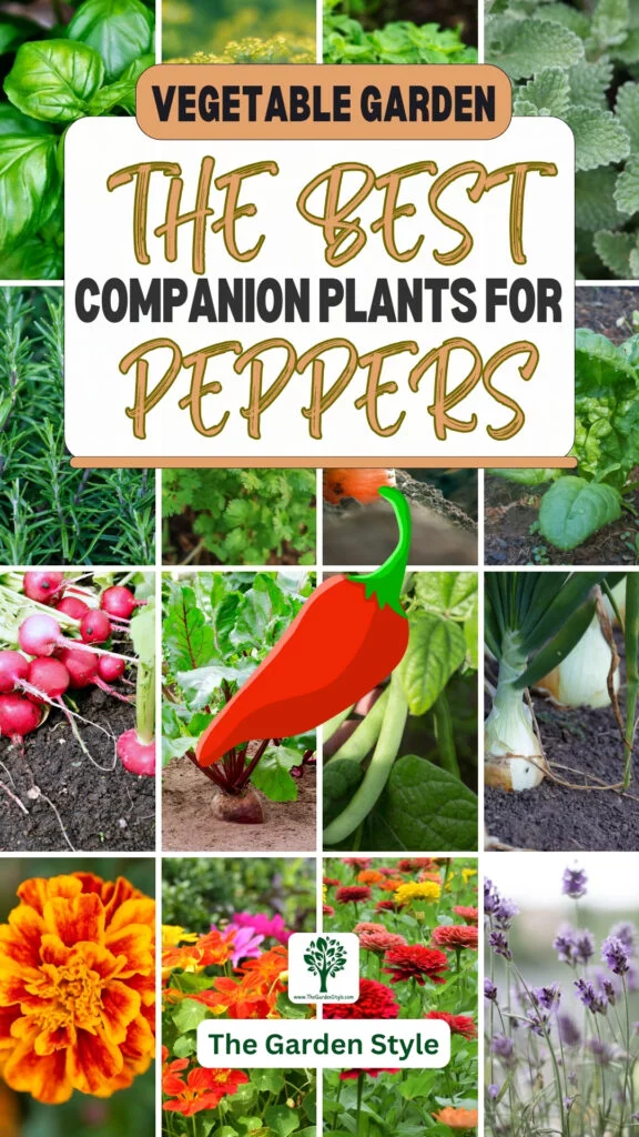 the best companion plants for peppers vegetable garden