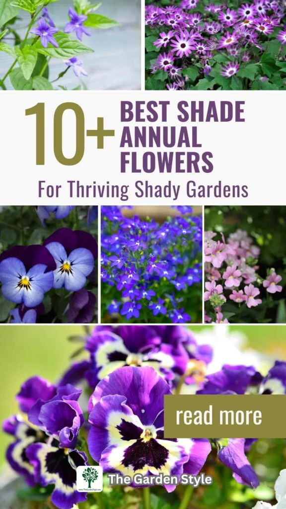10 best shade annual flowers for thriving shady gardens