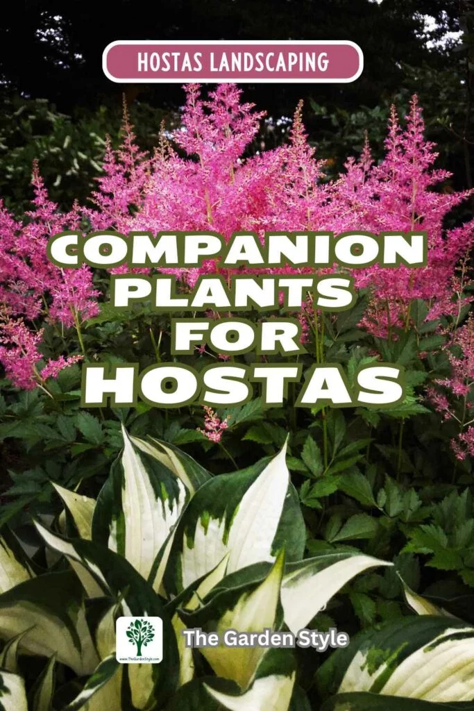 companion plants for hostas