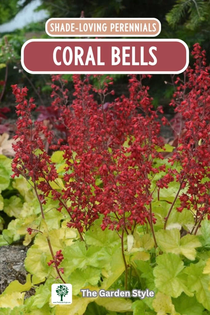 coral bells shade loving perennials