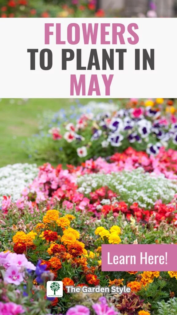 flowers to plant and grow in may
