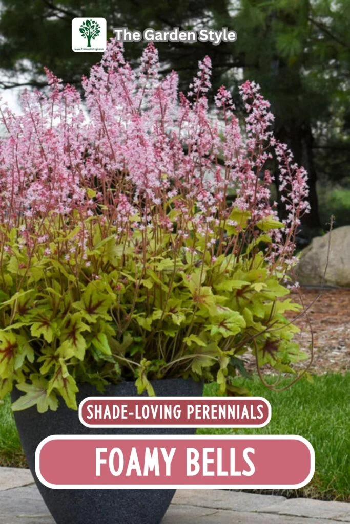 foamy bells shade perennials for containers