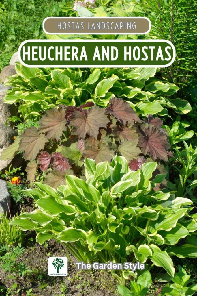 heuchera companion plants for hostas