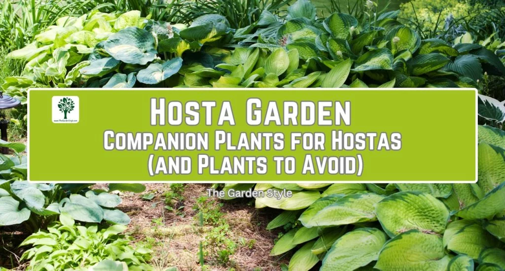 hosta garden companion plants for hostas and plants to avoid