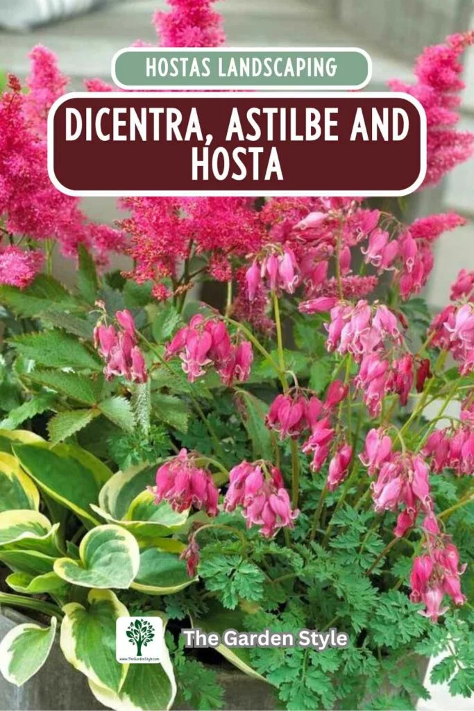 hosta garden dicentra astilbe and hosta