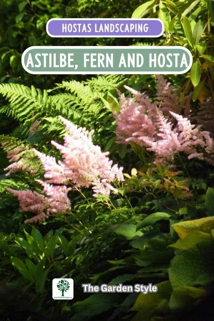 hostas landscaping astilbe fern and hosta