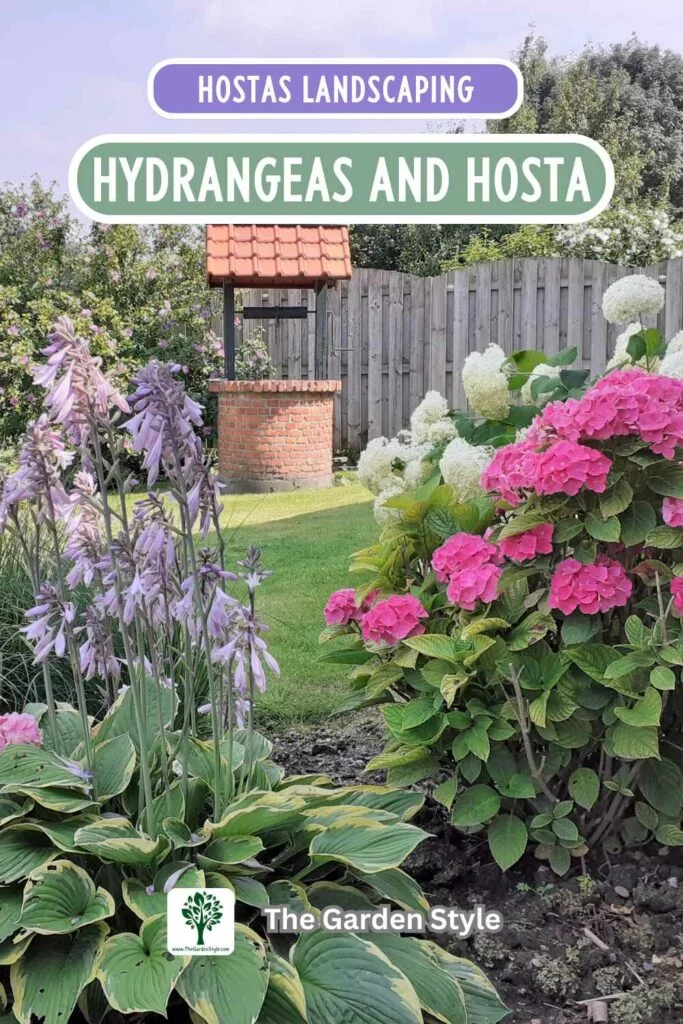 hydrangeas and hostas perfect companion plants