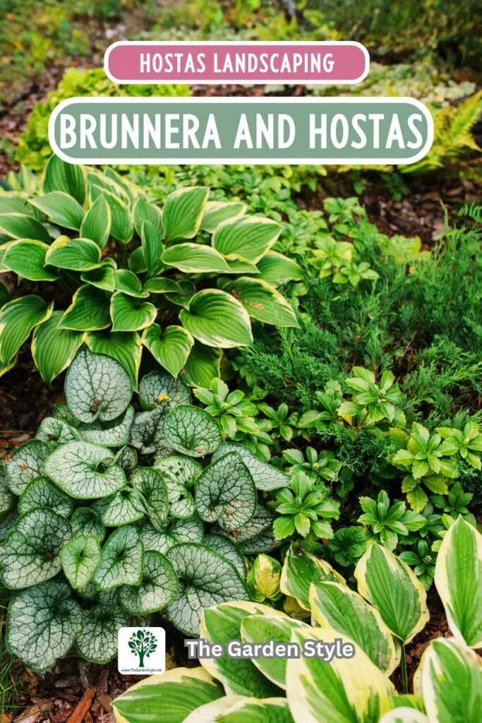 shade garden brunnera and hostas