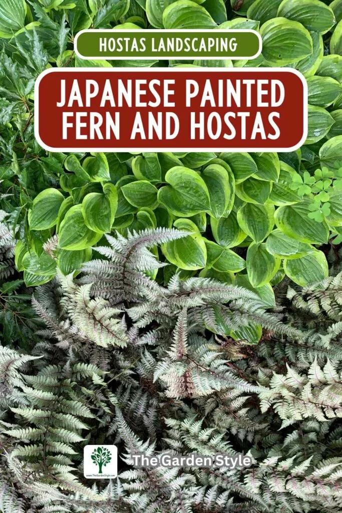 shade garden japanese painted fern and hostas