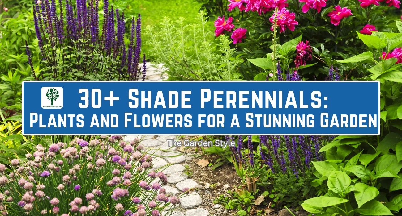 shade perennials plants and flowers for a stunning garden
