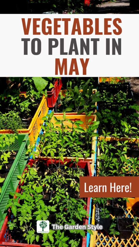vegetables to plant in may