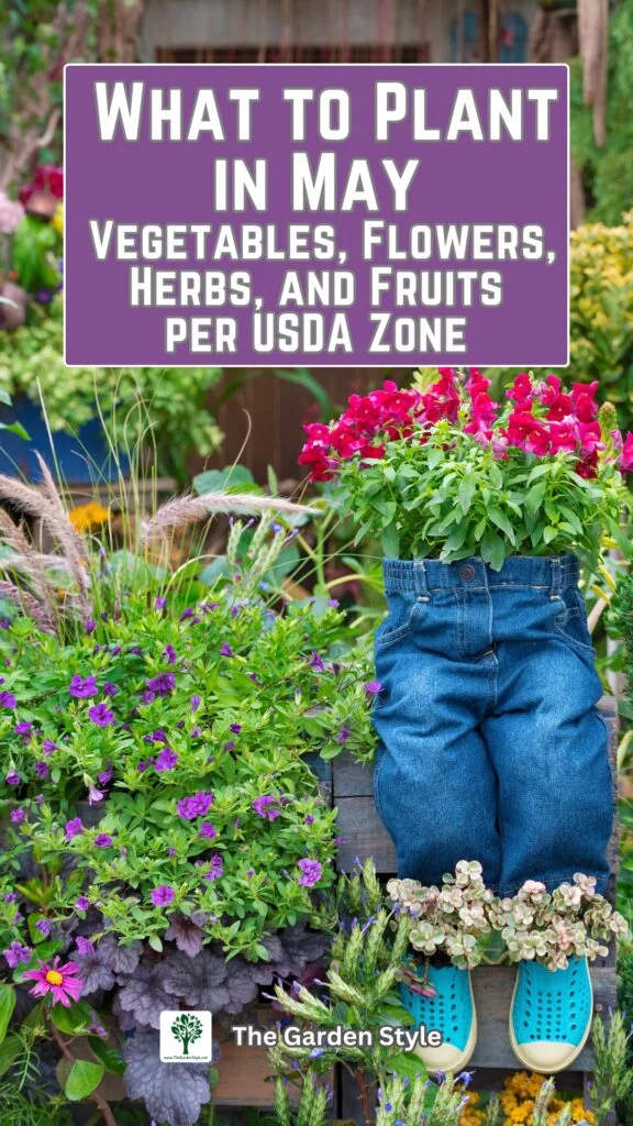 starting seeds in may per usda zones