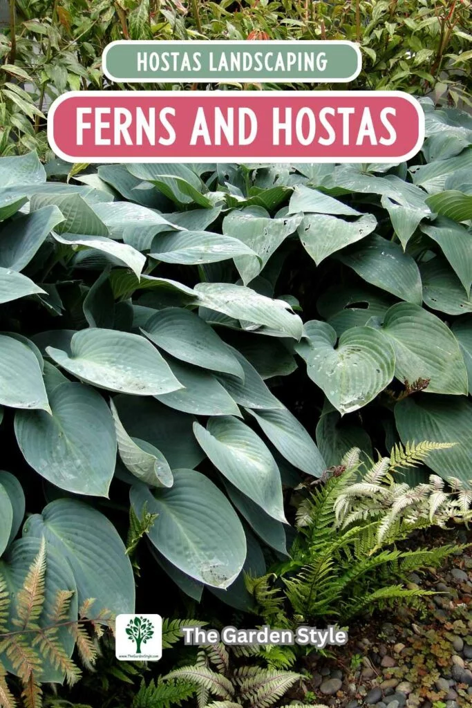 what to plant with hostas in a shade garden ferns and hostas