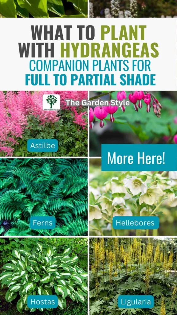what to plant with hydrangeas companion plants for full to partial shade